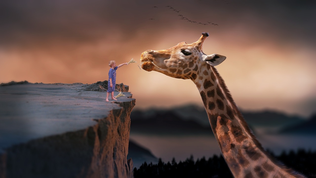 Do Dreams Have a Philosophical Meaning?